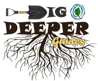 Dig Deeper Guides